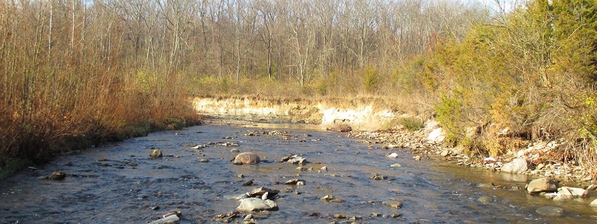 Holes Creek at Huffman Park