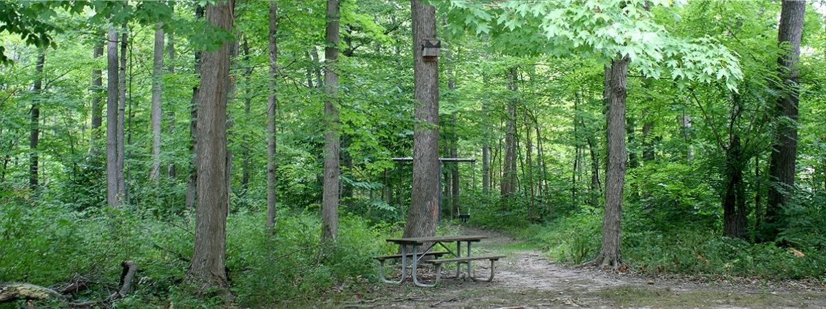 Nutt Woods Park