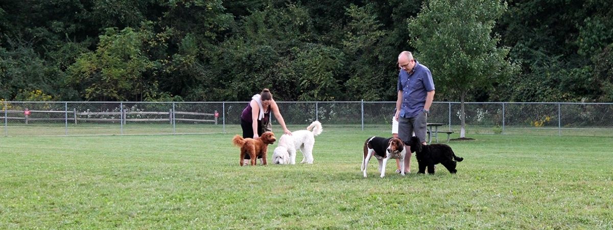Dog Park at Oak Grove Park