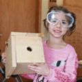 building birdhouses