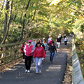 walkers on Iron Horse Trail in the fall