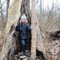 young girl standing in hollow tree