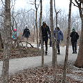 kids walking a path through the woods in winter