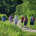 group hiking on paved forest path