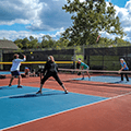 pickleball game