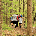 group of people hiking a wooded trail