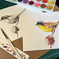 watercolor palette and two bird paintings
