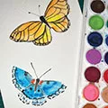 two butterflies painted with watercolors, with paint set nearby
