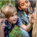 three kids looking through a magnifying glass at a tree