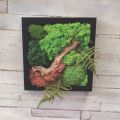 moss art inside of a black frame