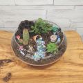 small terrarium of succulents
