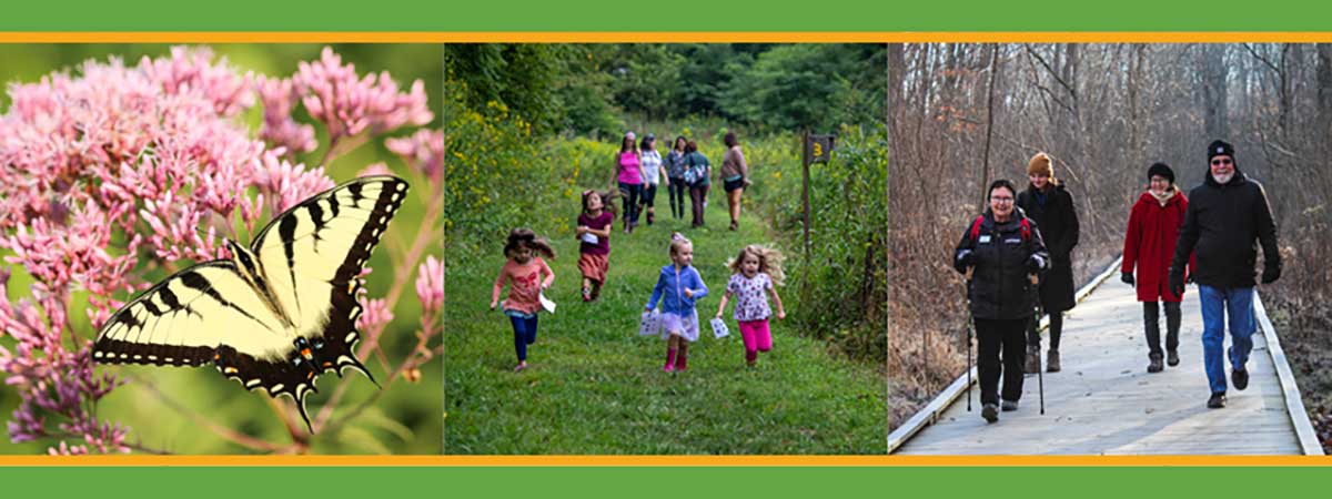 tiger swallowtail buttterfly, children running in a field, people walking on a boardwalk