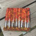 glass fusing of fall birch trees