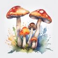 watercolor painted mushrooms with red and white tops and white stems