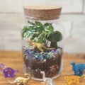 small glass jar filled with dirt, rocks, plants, and a plastic dinosaur