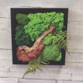 framed moss art hanging on a wall