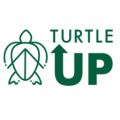 logo for turtle up organization featuring the outline drawing of a turtle with an arrow over it and the words turtle up written to the right