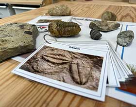 a fossil guide along with their fossils