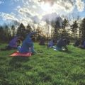 people doing yoga in a grassy field in the sunshine