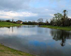 Small pond on a cloudy day