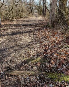 trail at Big Bend Park