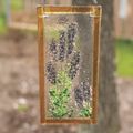glass fusing project featuring lavender