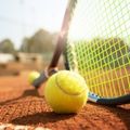 tennis ball and tennis racket on a court surface