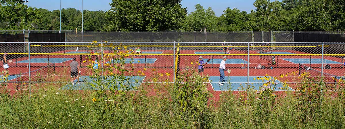 Six outdoor pickleball courts full of pickleball players. Flowering plants in the foreground.