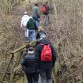 a group of hikers hiking up some stairs on a trail in the woods