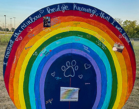 rainbow bridge dog memorial with names of pets and images pinned to it.