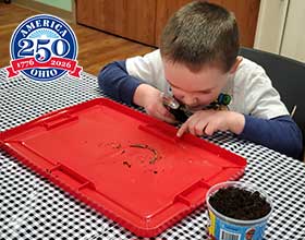 A child sitting at a table looking at a worm on a red tray. A cup of dirt is in the foreground.