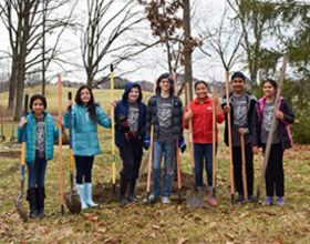 Weller Elementary Tree Tribe
