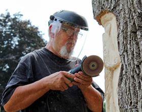 Loren Lorenzo carves a fox into a tree at Black Oak Park