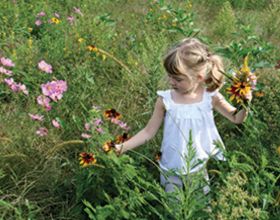 Wildflowers at Bill Yeck Park