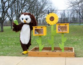 Owlexander at the Yankee Park Little Free Library