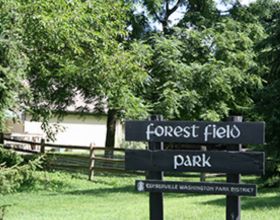 Forest Field Park