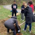 volunteers digging a hole for a tree